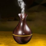 IONIZER FOR AIR VASE TYPE